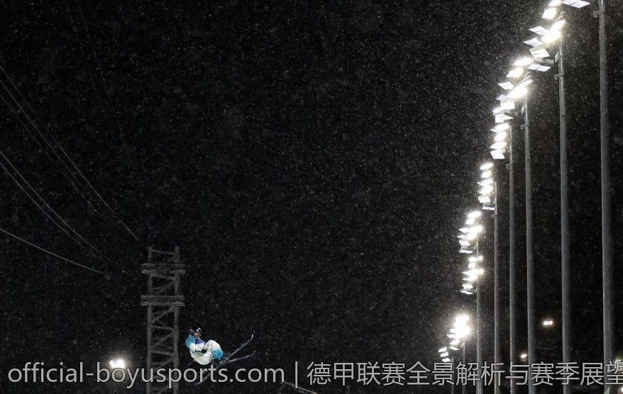 德甲联赛全景解析与赛季展望